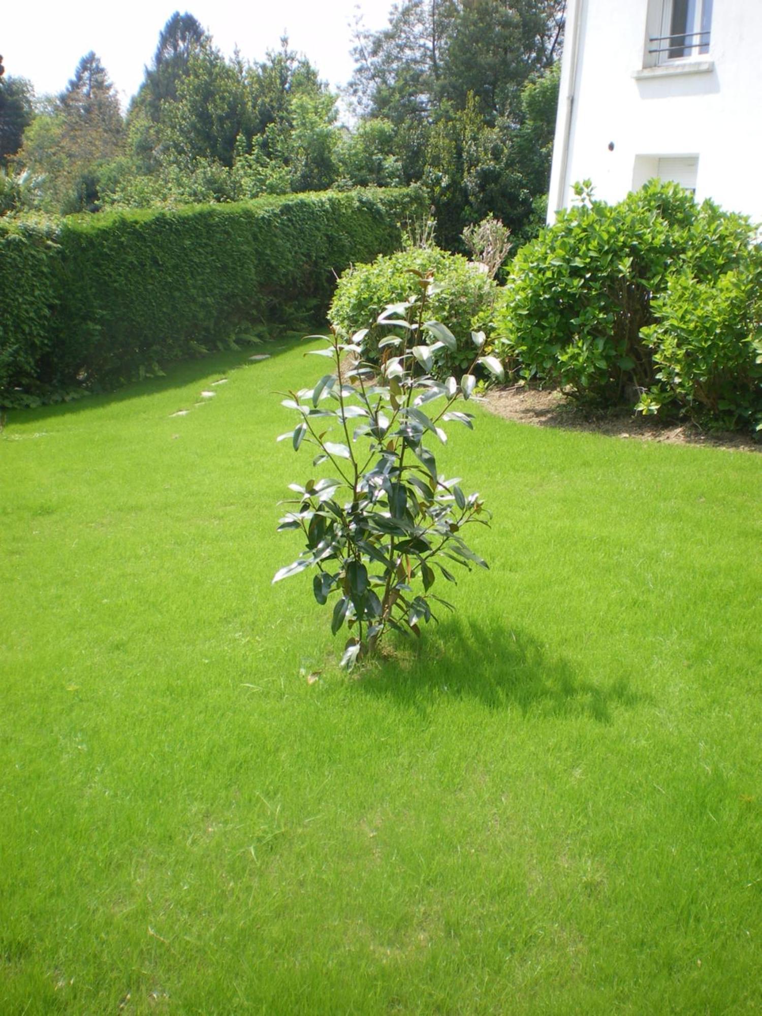 La Forêt-Fouesnant Residence De L'Esperance מראה חיצוני תמונה
